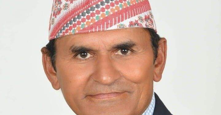 गुणराज निरौला पेशागत तथा बुद्धिजीवी विभागको सदस्यमा मनोनित 