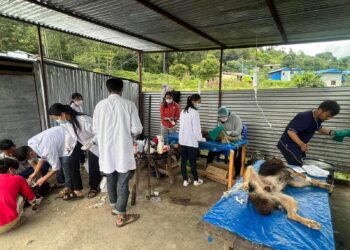 सोलुदुधकुण्ड नगरपालिकामा कुकुर बन्ध्याकरण तथा रेबिज खोप शिविर सुरु