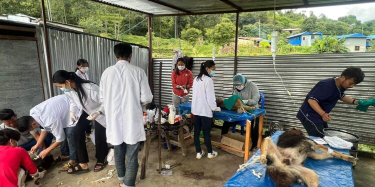 सोलुदुधकुण्ड नगरपालिकामा कुकुर बन्ध्याकरण तथा रेबिज खोप शिविर सुरु