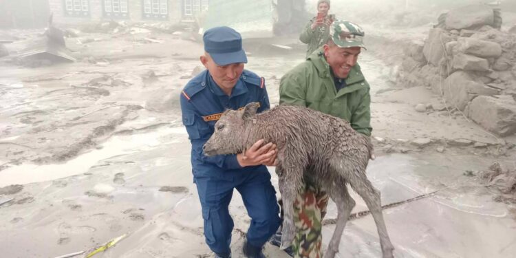 दुधकोशीको बाढीले क्षति गरेको गाउँमा पुग्यो सुरक्षाकर्मी