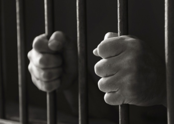 भेना काट्ने सालो कारागार चलान 