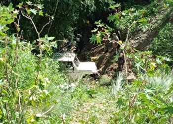 सांकेतीक तस्वीर