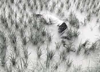 धान खेतमा पुरुषको शव भेटियो