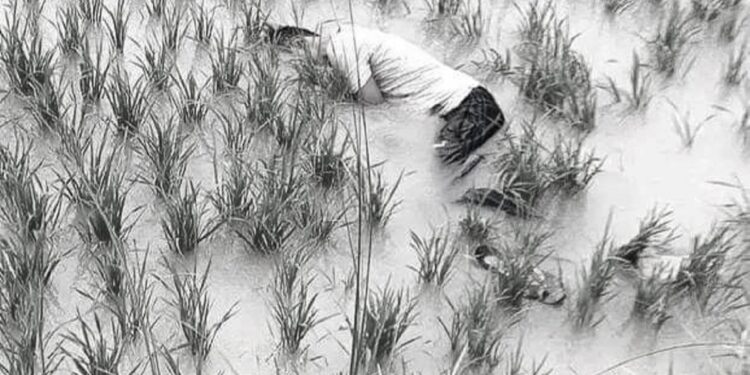 धान खेतमा पुरुषको शव भेटियो