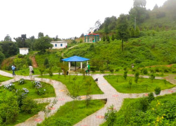 भोजपुरको आमचोकमा दाक्बुराङ वनस्पति उद्यान निर्माण