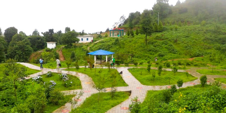 भोजपुरको आमचोकमा दाक्बुराङ वनस्पति उद्यान निर्माण