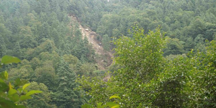  साल्मे गाउँ नजिकै ठुलो पहिरो, खानेपानीको हाहाकार 