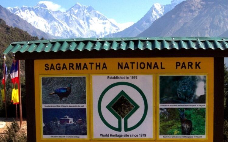 चालु आर्थिक वर्षको २ महिनामा २४ सय बढी पर्यटकले गरे सगरमाथा भ्रमण