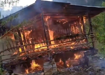 खिजीदेम्बा गाउँपालिका : बाख्रा फार्ममा आगलागी हुँदा २२ वटा बाख्रा जले