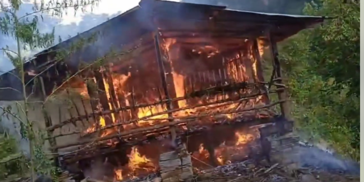 खिजीदेम्बा गाउँपालिका : बाख्रा फार्ममा आगलागी हुँदा २२ वटा बाख्रा जले