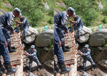  सशस्त्र प्रहरीले बनायो काठे पुल 