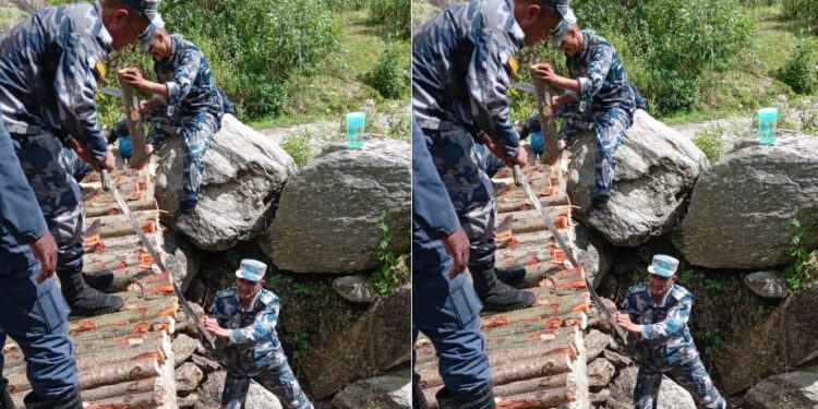  सशस्त्र प्रहरीले बनायो काठे पुल 