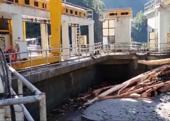 ईन्टेकमा रुख ढल्दा ८६ मेगावाटको सोलुदुधकोशी जलविद्युत आयोजनाको उत्पादन बन्द