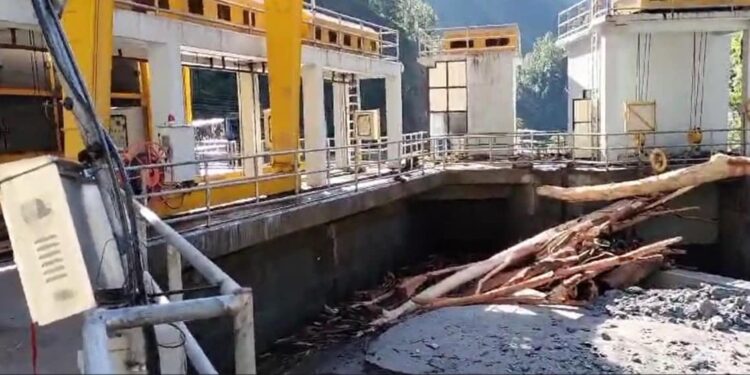 ईन्टेकमा रुख ढल्दा ८६ मेगावाटको सोलुदुधकोशी जलविद्युत आयोजनाको उत्पादन बन्द