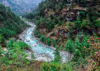 माछा मार्न गएका मंगलटारका किशोर दुधकोशी नदीमा बेपत्ता