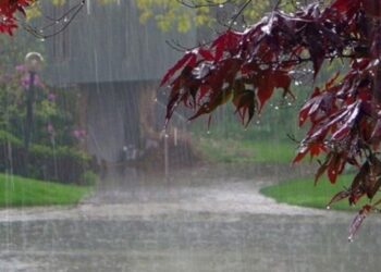 आज यी तीन प्रदेशमा ठूलो पानी पर्ने सम्भावना