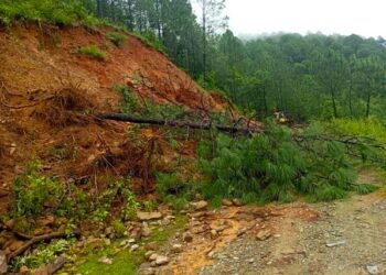 ओखलढुंगाको भित्रि सडक खण्ड पहिरोले अवरुद्ध
