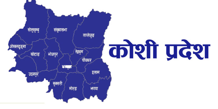 कोशी प्रदेशका १४ विपद सङ्कटग्रस्त पालिकाले आधा करोड राहत पाउने, कुन कुन हुन त ती पालिका ?