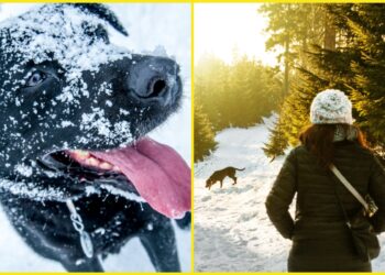 चिसो बढ्दै, आवश्यक सतर्कता अपनाउन अनुरोध,यस्ताे छ आजकाे माैसम