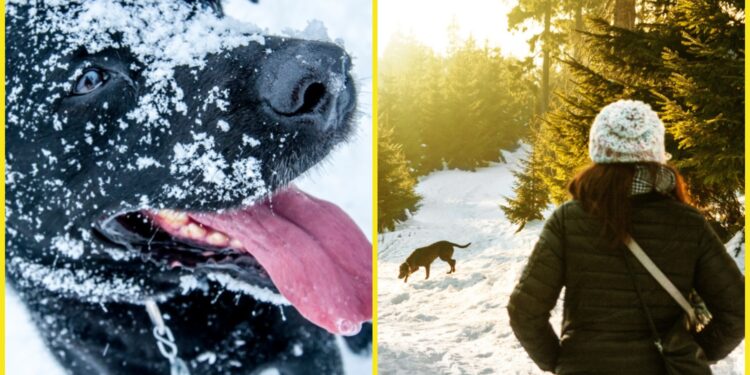 चिसो बढ्दै, आवश्यक सतर्कता अपनाउन अनुरोध,यस्ताे छ आजकाे माैसम