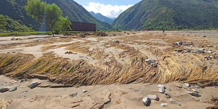 गत असाेजकाे वर्षातले साेलुखुम्बुमा २५ लाखकाे अन्नबाली नष्ट
