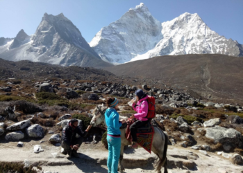  सगरमाथा राष्ट्रिय निकुञ्ज क्षेत्रमा घोडा हिँडडुल गराउन रोक 
