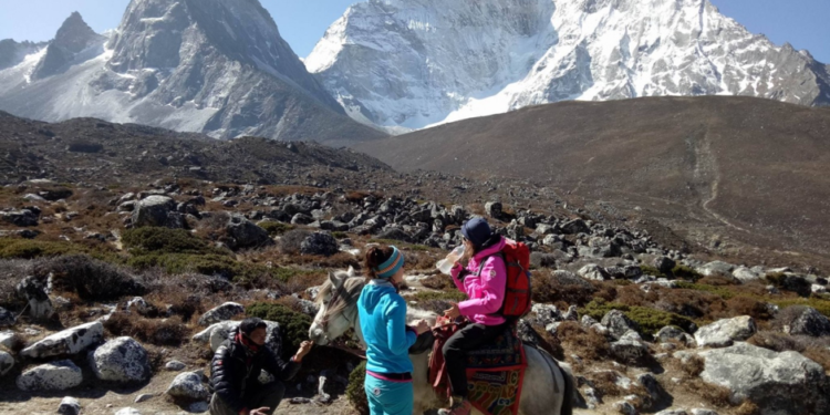  सगरमाथा राष्ट्रिय निकुञ्ज क्षेत्रमा घोडा हिँडडुल गराउन रोक 