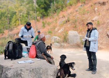 नेचासल्यानमा १३० वटा कुकुर र बिरालोलाई रेबिज रोगविरुद्ध खोप