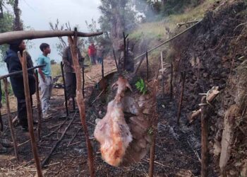  हिउँदे मतानमा आगलागी हुँदा देशकाे बाख्रा जल्याे 