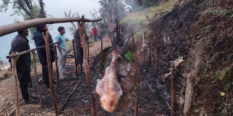  हिउँदे मतानमा आगलागी हुँदा देशकाे बाख्रा जल्याे 