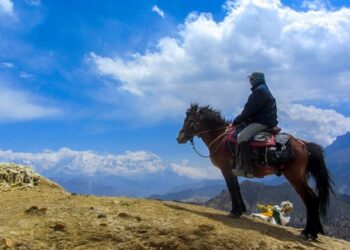 व्यवसायीहरुलाई घोडा खरिद नगर्न खुम्बु पासाङल्हामु गाउँपालिकाको आग्रह