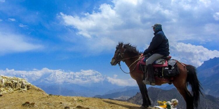 व्यवसायीहरुलाई घोडा खरिद नगर्न खुम्बु पासाङल्हामु गाउँपालिकाको आग्रह