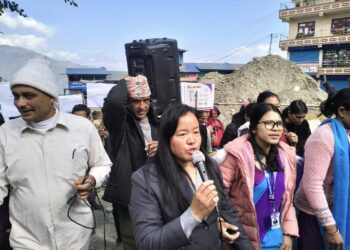 नेचासल्यानमा विभिन्न कार्यक्रम गर्दै ३३ औँ अन्तराष्ट्रिय अपाङ्गता दिवस मनाइयो