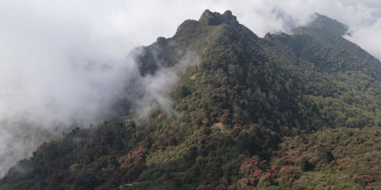 देशभर पश्चिमी वायुको प्रभाव, धेरै ठाउँमा हुस्सु