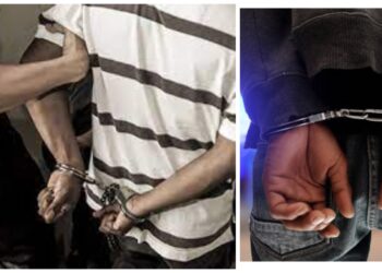 ओखलढुङ्गामा छ जना फरार प्रतिवादी पक्राउ