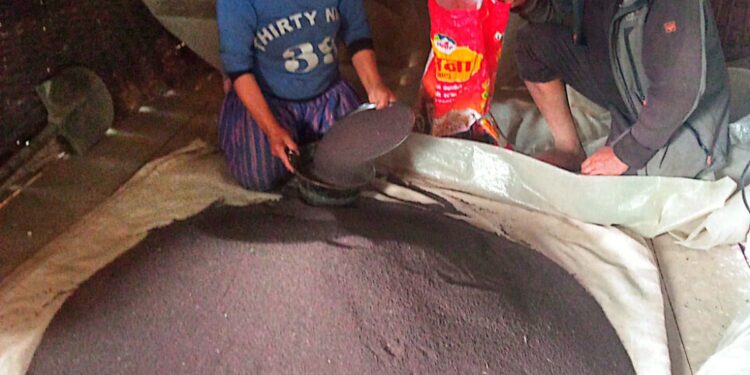 तोरी फलाउने केपिलासगढीका ५३५ किसानलाई अनुदान