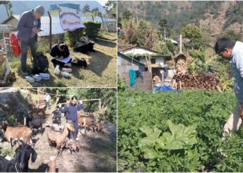 घरघर पुगी कृषि तथा पशुपंक्षी शाखाका सेवा दिदैँ महाकुलुङ गाउँपालिका