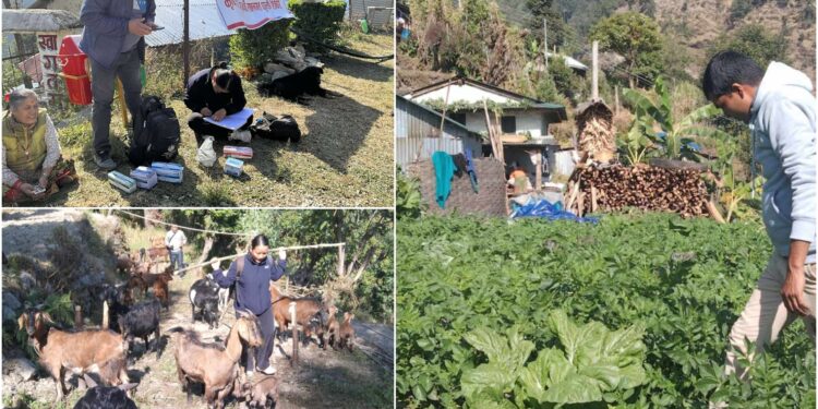 घरघर पुगी कृषि तथा पशुपंक्षी शाखाका सेवा दिदैँ महाकुलुङ गाउँपालिका