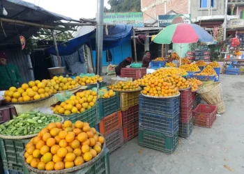 राजधानीमा गोलन्जोरको अमिलो जुनार उत्कृष्ट