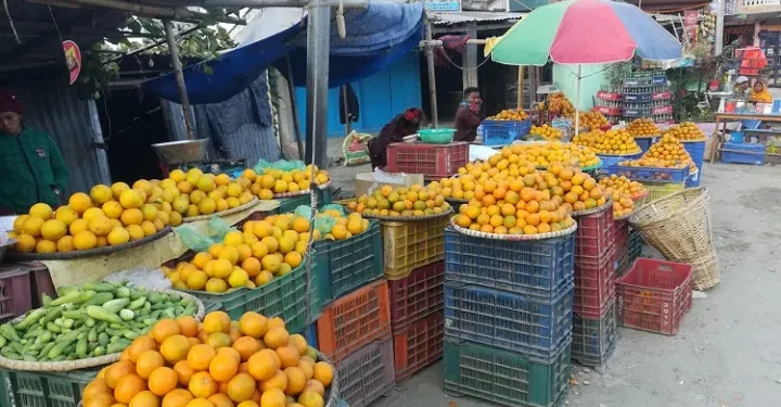 राजधानीमा गोलन्जोरको अमिलो जुनार उत्कृष्ट