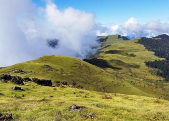 मुन्दुम पदमार्गको विकासका लागि तीन जिल्लाका पालिका जुट्दै