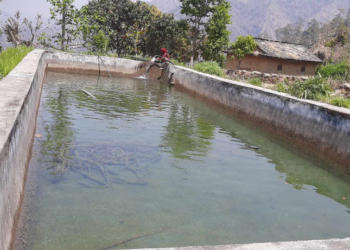 अरुण गाउँपालिका–७ मा एक टोल एक सिँचाइ पोखरी अभियान