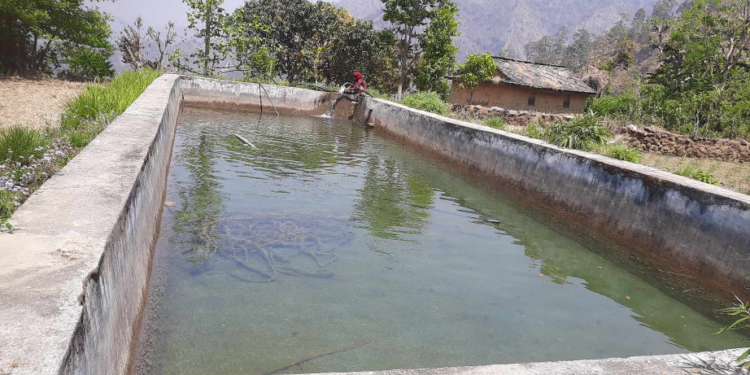 अरुण गाउँपालिका–७ मा एक टोल एक सिँचाइ पोखरी अभियान