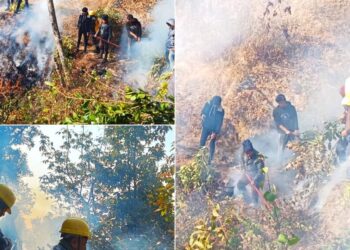 ठानेखोला भिरको डढेलो तीन दिन पछि नियन्त्रणमा