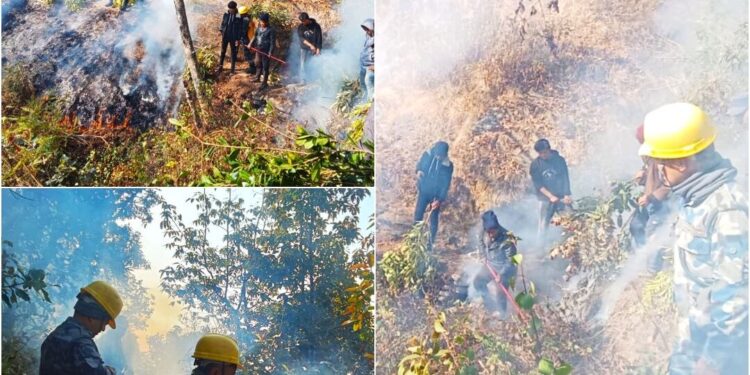 ठानेखोला भिरको डढेलो तीन दिन पछि नियन्त्रणमा