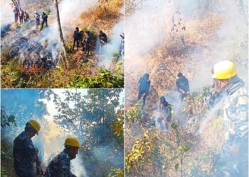 माप्य दुधकोशी गाउँपालिकाको ठानेखोला भिरमा लागेको डढेलो अझै नियन्त्रण बाहिर