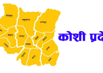 राष्ट्र बैंकको अध्ययन : कोशी प्रदेशमा घट्यो बाली कृषि क्षेत्रफल