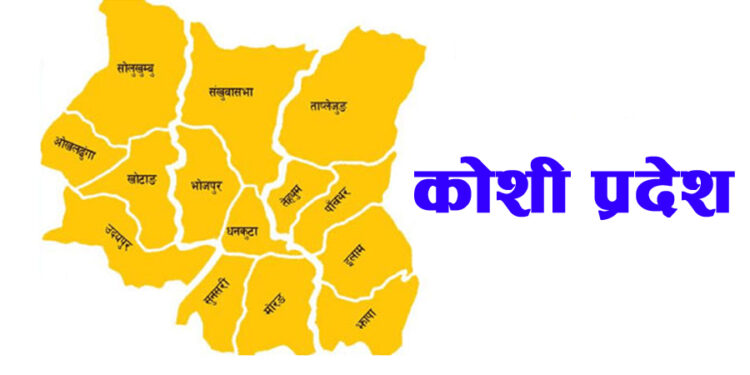 राष्ट्र बैंकको अध्ययन : कोशी प्रदेशमा घट्यो बाली कृषि क्षेत्रफल