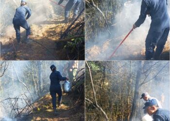 पाखो बारीमा बुङ पोल्दा पत्ताले स्थित जंगलमा आगलागी