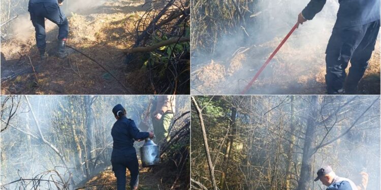 पाखो बारीमा बुङ पोल्दा पत्ताले स्थित जंगलमा आगलागी